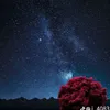 akamm68