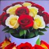 user831204124