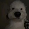 iker_7773