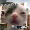 _oneof_