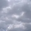 pib.vo