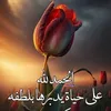 elghaziabdelaziz1