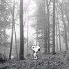 marii_16910