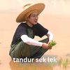 maswonu17
