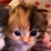 its.suce