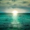 lifelessea