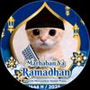alihamzaf2