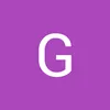guilhermeselis341