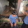 adli.adli09