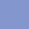 blueberries_772