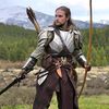ranger.aradir