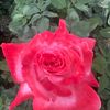 user823013409
