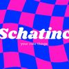 schatinc