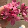 lena_17_16