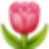 umequanghungnekkk