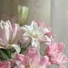 memissptd_