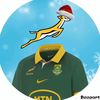 depimster_rugby
