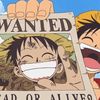 luffytaroo126