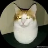 jahyouy