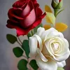 user38074905388227