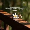 elianelyrocha