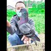 jhyan_lucky06