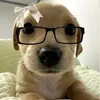 luynhluynh.4225