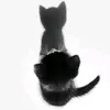 katt0098