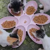 outsidercats