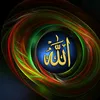 omar.bazid