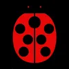 coccy34