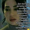 qodi151