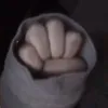 baby.sharkdododo1