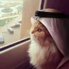 freefalastine61