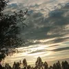 linadoblasmoremo