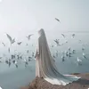 birds.migratory