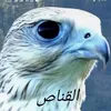 al_samawe_85