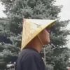 davilous6