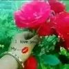 user9019341528500