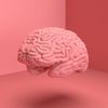 staylearning