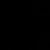 r1_i21