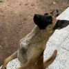 manuel.cristobal3