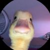 lilybilly9200