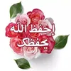 user93181916924062