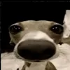 dyhogo.siqueira