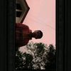 Kendrozz_M