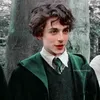 regulusdracoharry