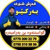 farsh_shori_barkew