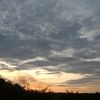huma_1315