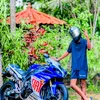 geeshuwa97568
